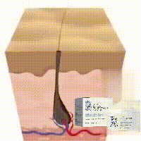 Scalp Scrub Shampoo Cream Dandruff Treatment Fast Hair Growth Anti Itching Hair Loss Hydrating Deep Scalp Cleansing Hair Care